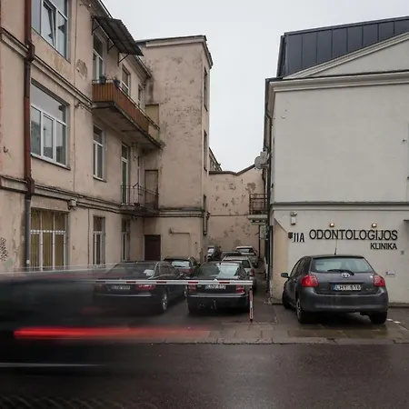 Dandelion In The Heart Of Apartamento *