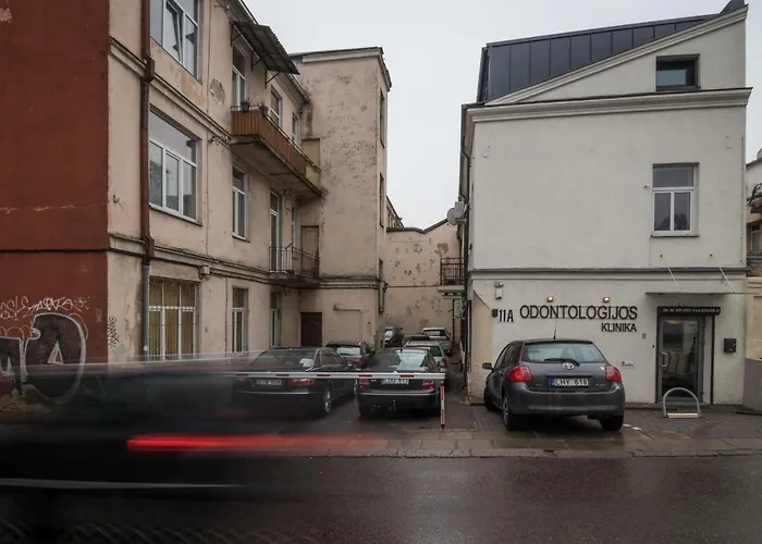 Dandelion In The Heart Of Appartement *